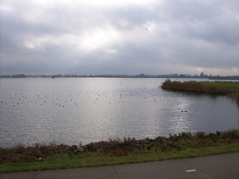 Het was zwaar bewolkt maar we hielden het droog!